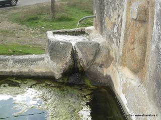 ntana Murata21-10-2014 19-39-07